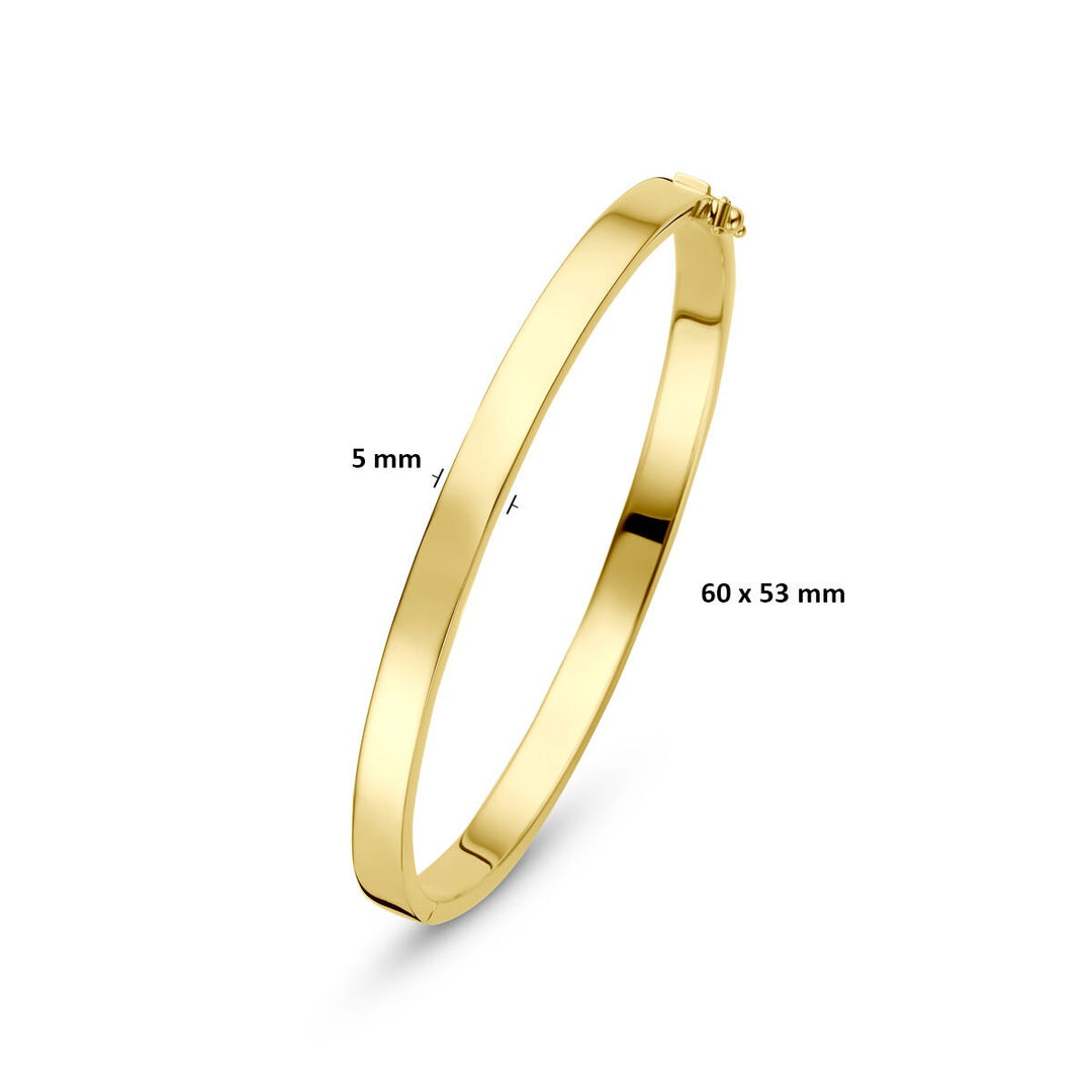 9k Geelgouden bangle armband met zilveren kern
