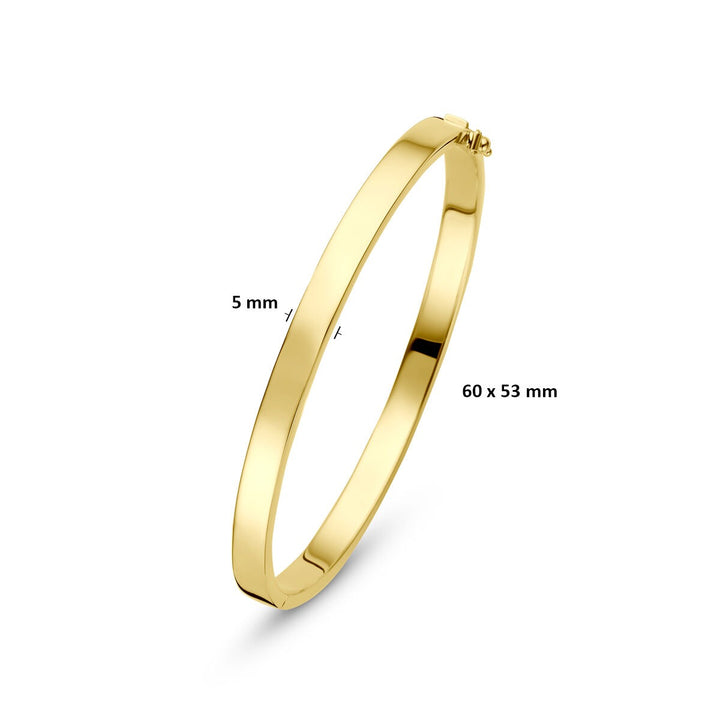 9k Geelgouden bangle armband met zilveren kern