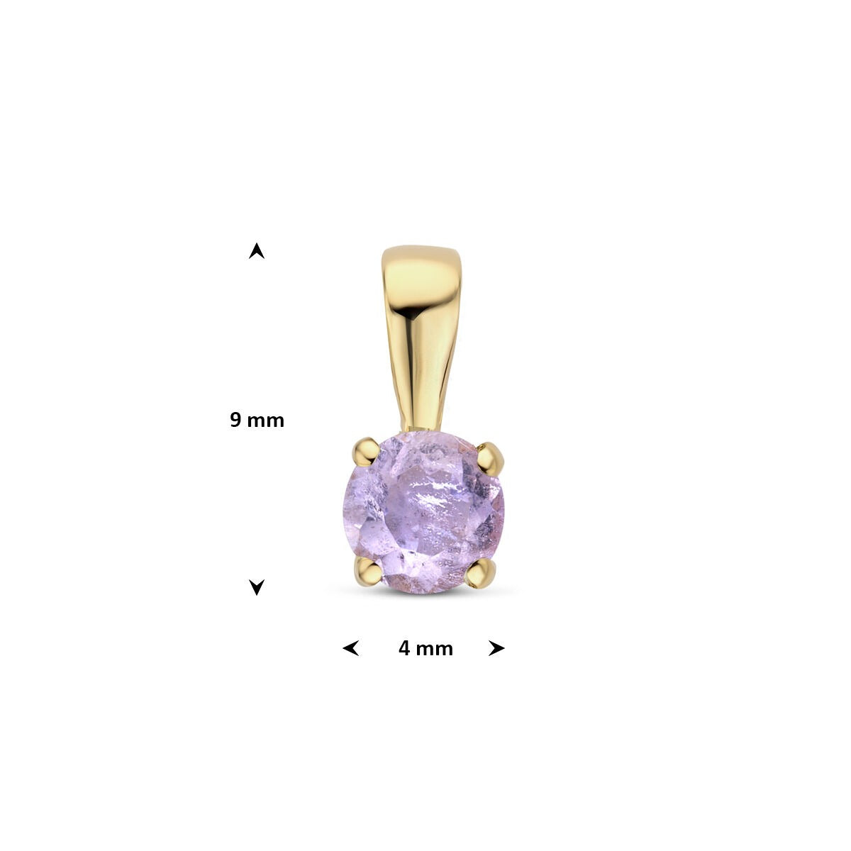 14k Geelgouden Hanger met Amethist