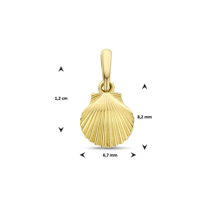 9k geelgouden hanger schelp