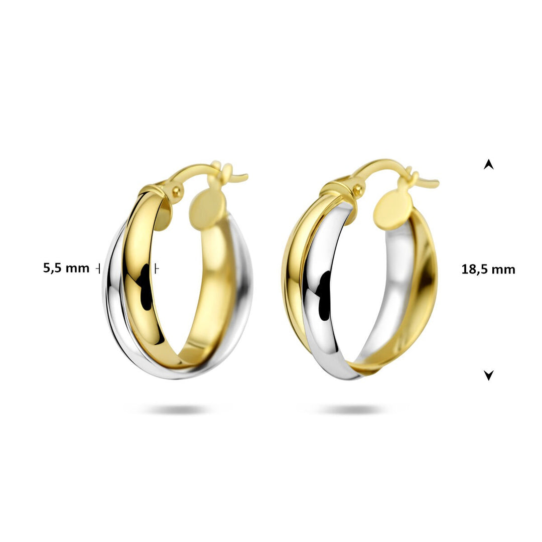 14k bicolor oorringen in geel- en witgoud
