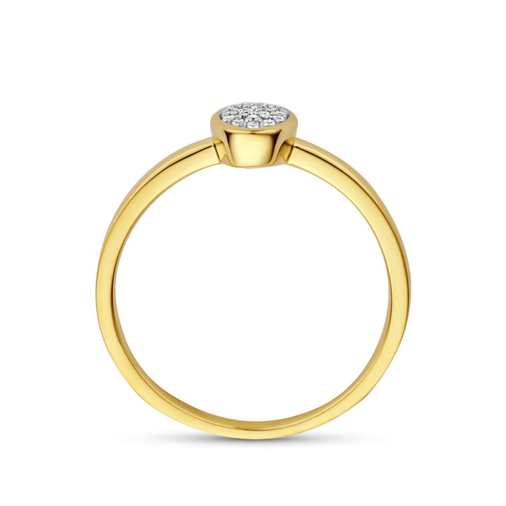 14k Geelgouden ring met diamant
