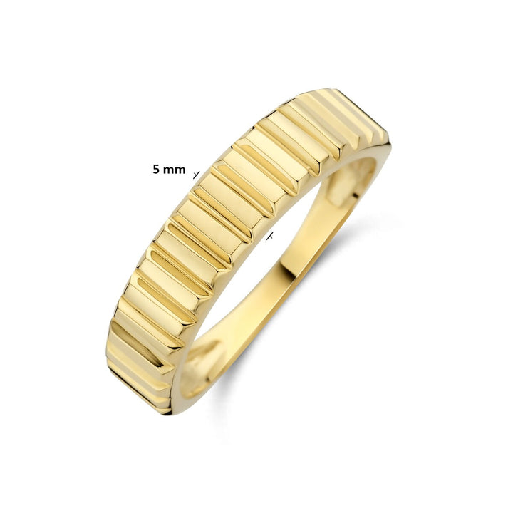 14k Geelgouden Dames Ring