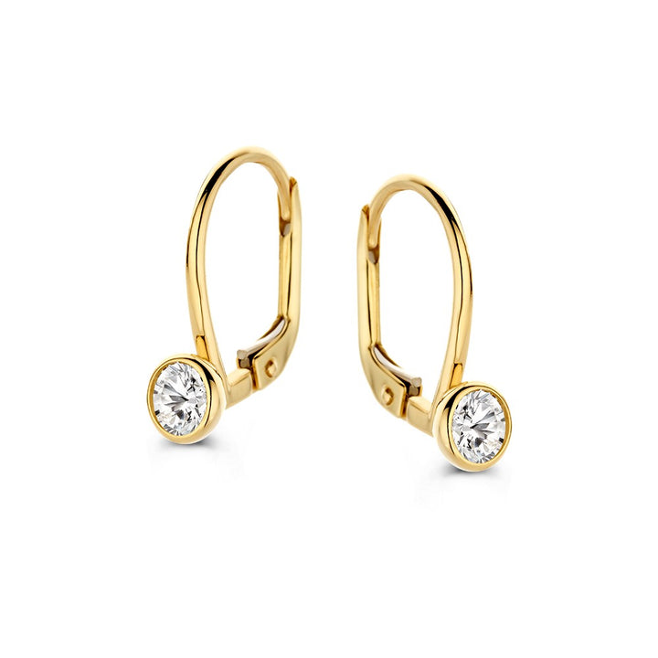 Geelgouden oorhaken met zirkonia's in ronde zetkast – 14 karaat