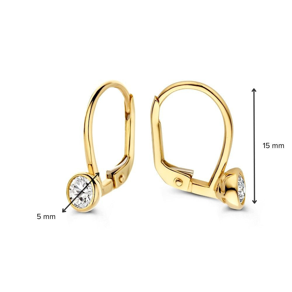 Geelgouden oorhaken met zirkonia's in ronde zetkast – 14 karaat