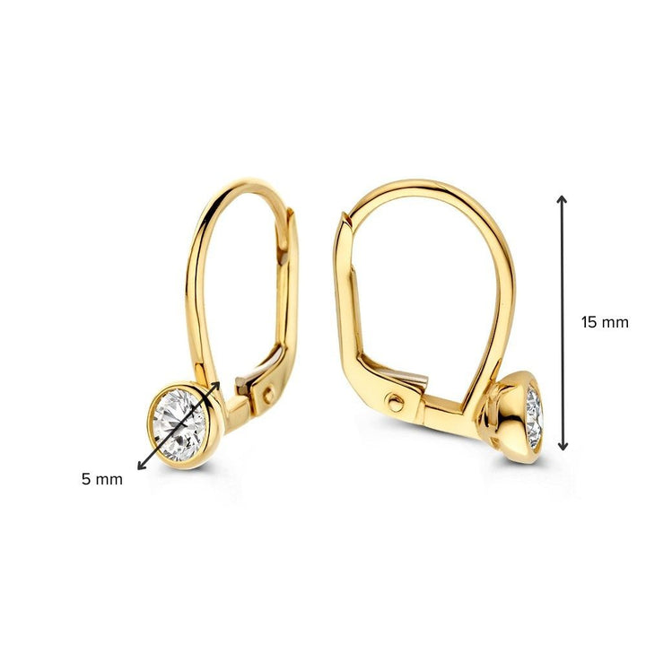 Geelgouden oorhaken met zirkonia's in ronde zetkast – 14 karaat