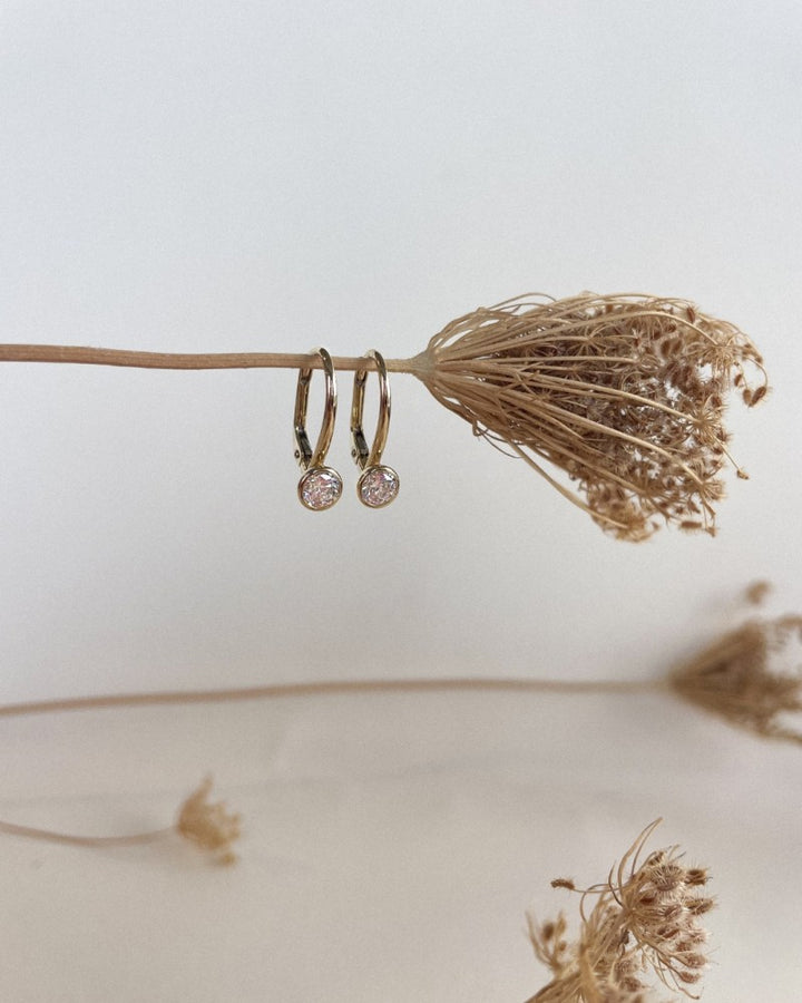 Geelgouden oorhaken met zirkonia's in ronde zetkast – 14 karaat