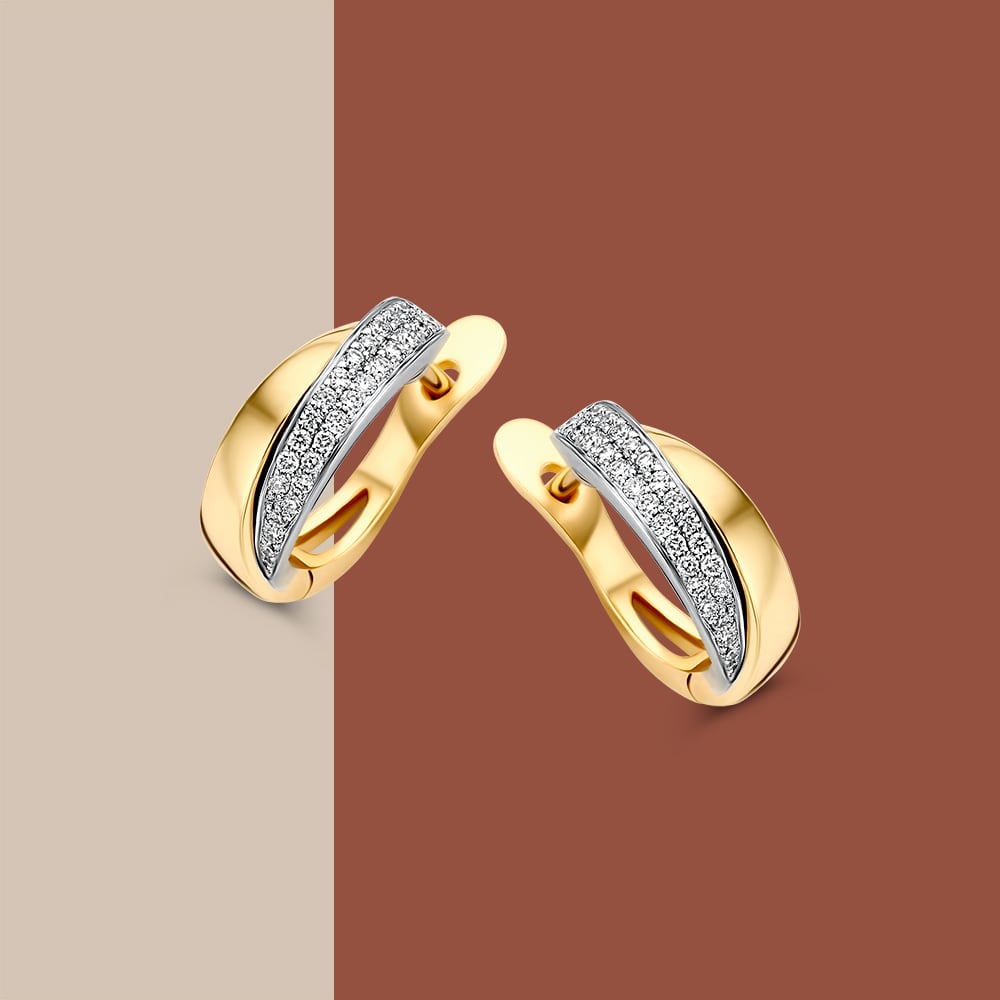 Bicolor Geel- en Witgouden Oorringen met Diamant in Pavézetting – 14 Karaat Oorringen met 0.20 Carat Diamant