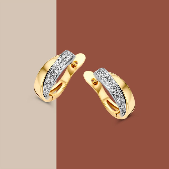 Bicolor Geel- en Witgouden Oorringen met Diamant in Pavézetting – 14 Karaat Oorringen met 0.20 Carat Diamant