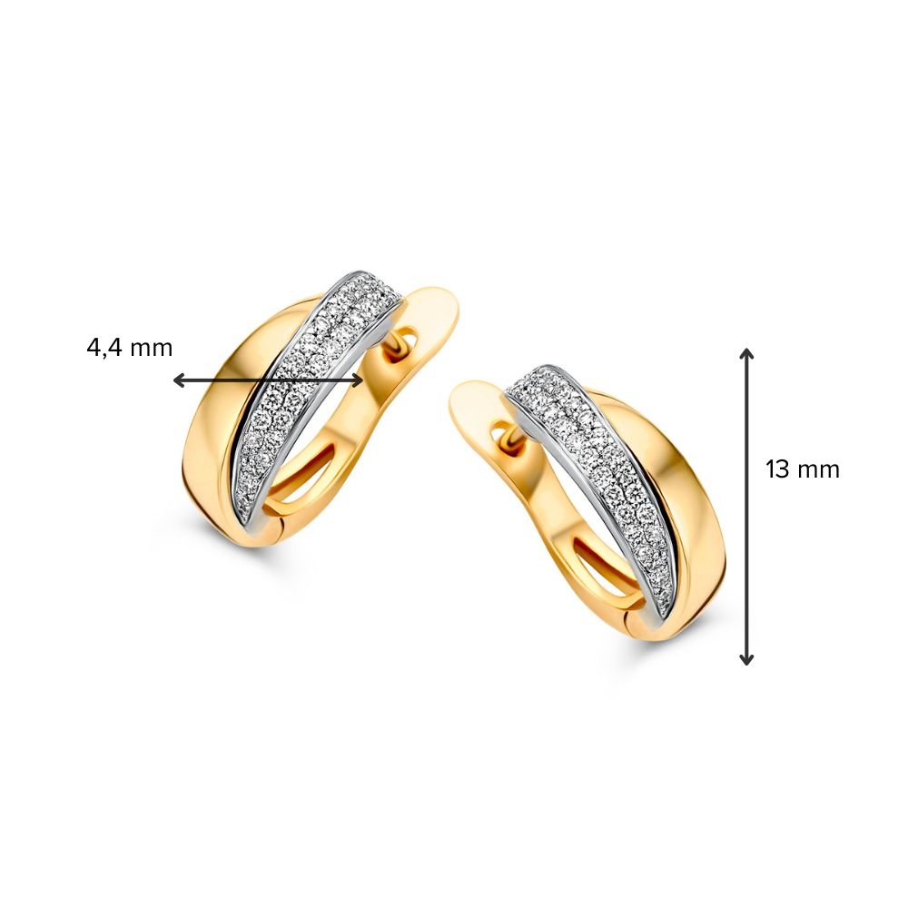 Bicolor Geel- en Witgouden Oorringen met Diamant in Pavézetting – 14 Karaat Oorringen met 0.20 Carat Diamant