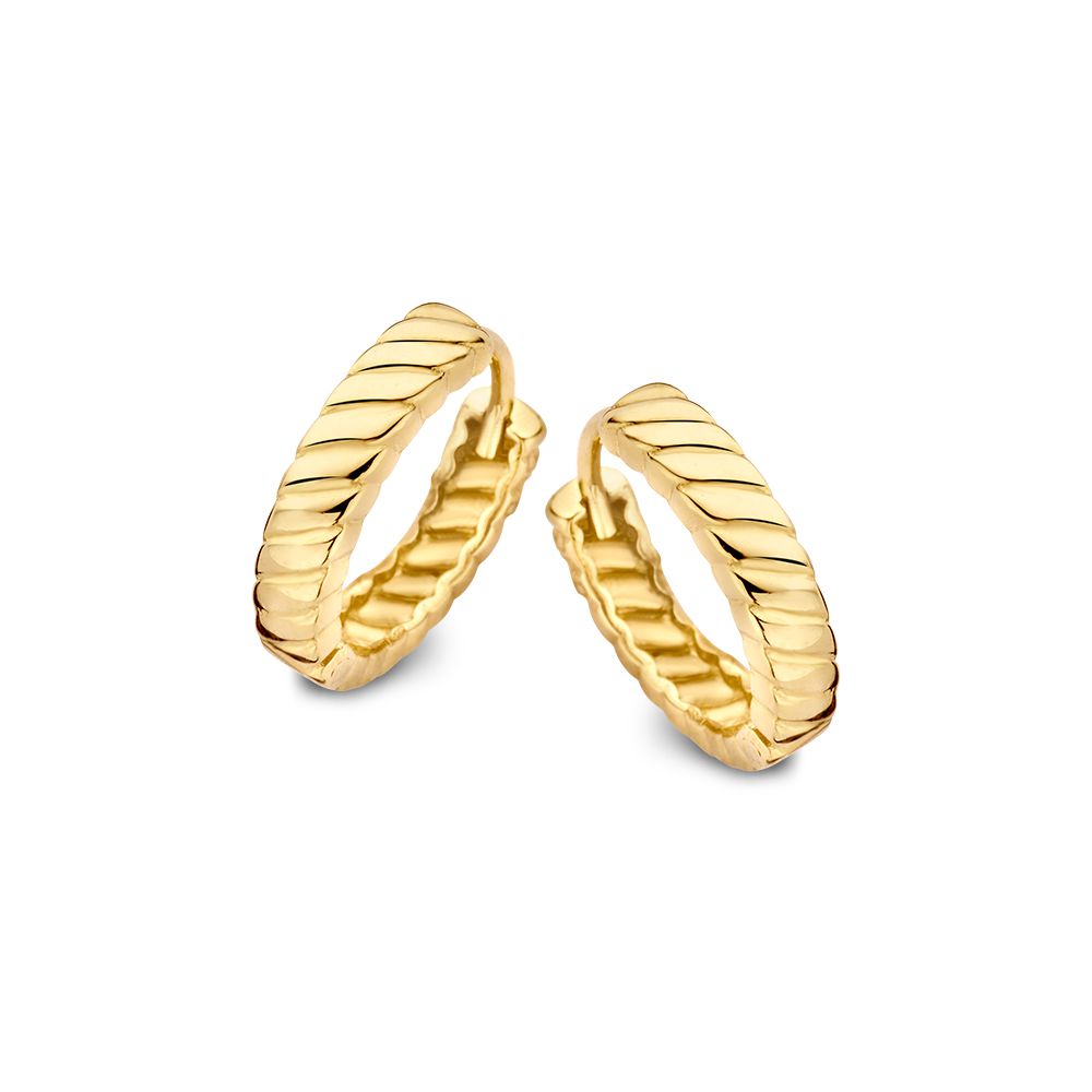 Een paar van 14 karaat geelgouden oorringen met gestreept patroon van Excellent Jewelry, tijdloos elegant door Van der Kooij, prachtig weergegeven tegen een witte achtergrond.