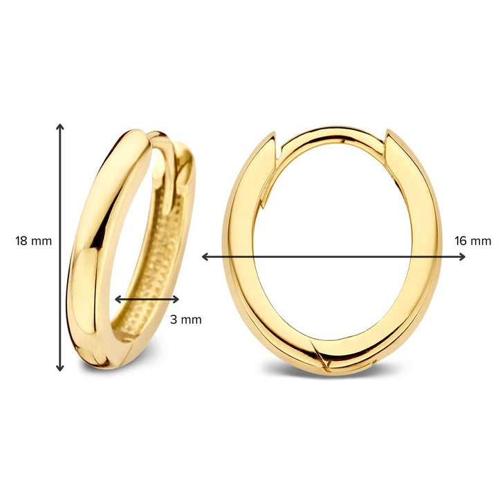 Geelgouden Oorringen Ovaal Model – 14 Karaat Goud | Van der Kooij
