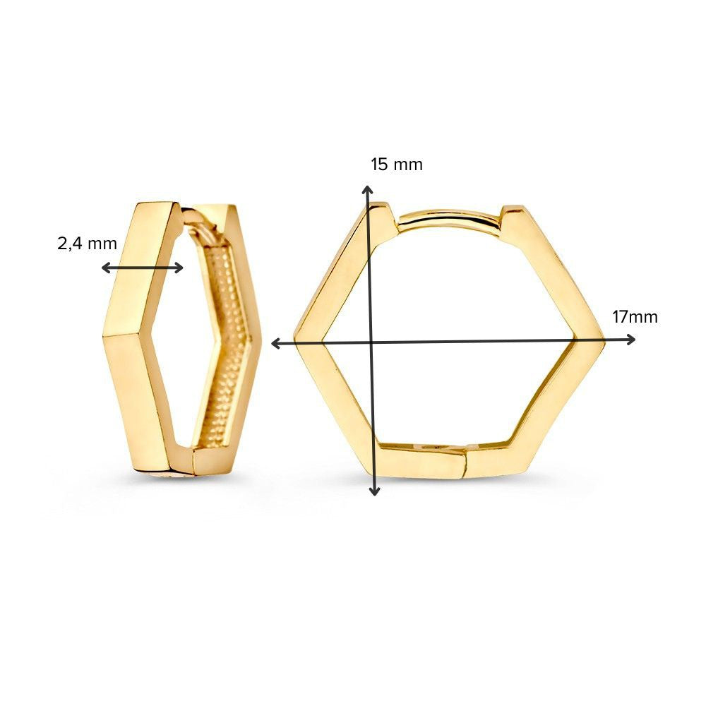 Zeshoekige Geelgouden Oorringen – Strakke en Moderne Elegantie