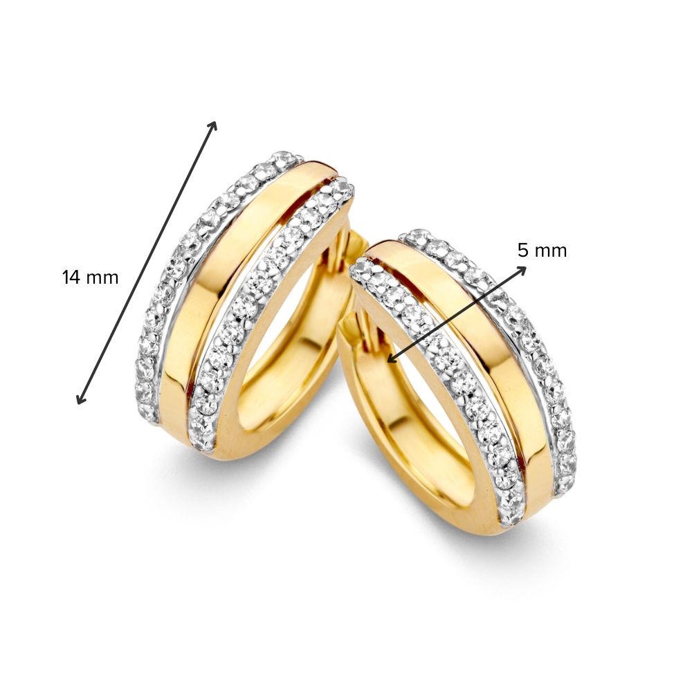 Oorringen geelgoud zirkonia