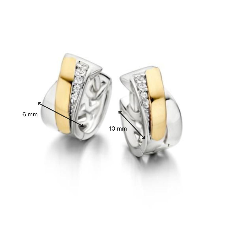 Zilver met Gouden Oorringen en Zirkonia's – Subtiele Glamour