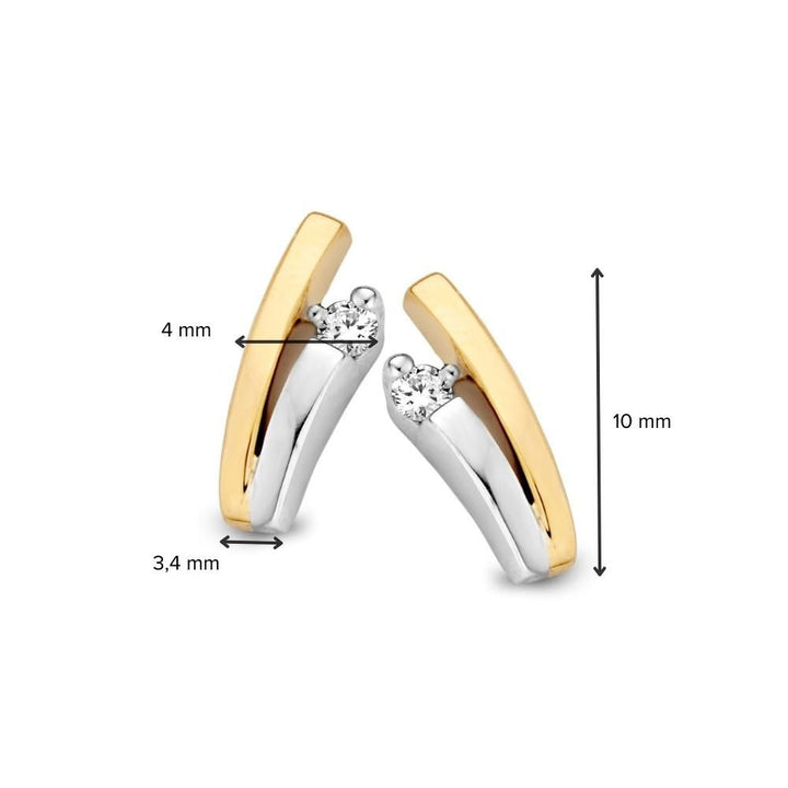 Oorstekers bicolor briljant 0,06 crt.