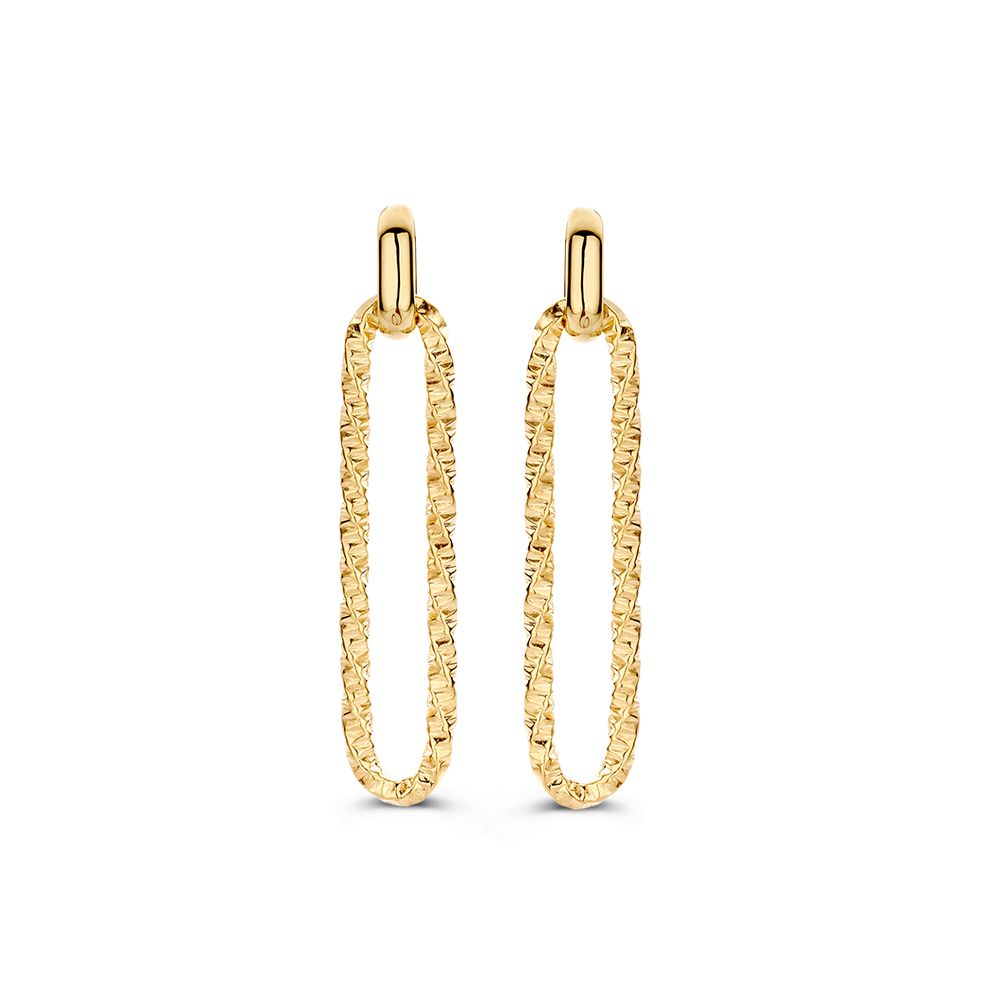 Geelgouden oorhangers in 14 karaat goud met bewerkte paperclip schakels.