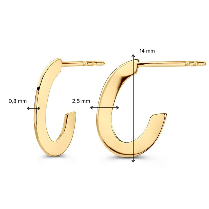 Oorstekers geelgoud