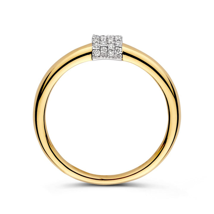 14kt Gouden Ring met 0.10ct Diamant – Elegante Geel/Wit Gouden