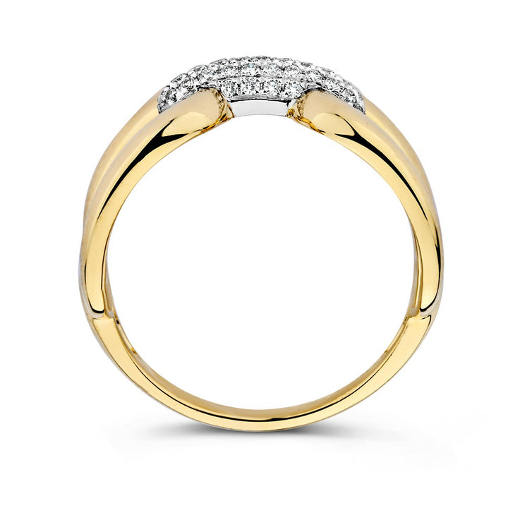 Bicolor Geel- en Witgouden Ring met Briljant Diamant – 0,22 ct