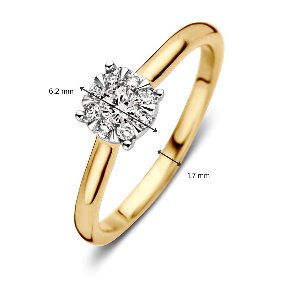 Bicolor Geelgouden Entourage Ring met Diamant – 0.25 Carat