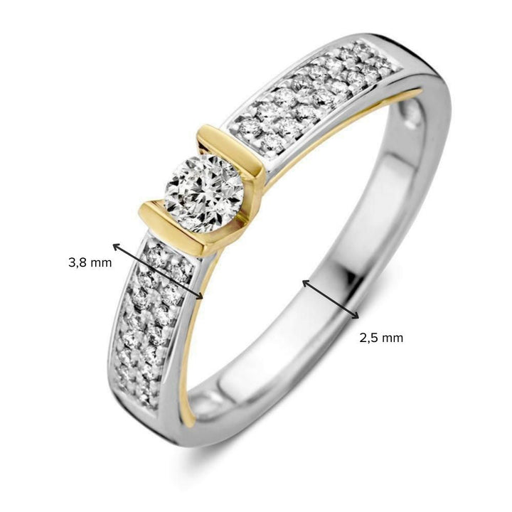 Bicolor Gouden Oorstekers met Diamant – 0.38 ct, 14 Karaat