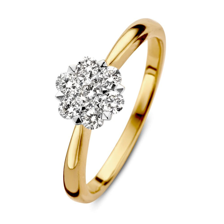 Bicolor Gouden Entourage Ring met Diamant (0.40 ct) – 14 Karaat Geel/Wit Goud