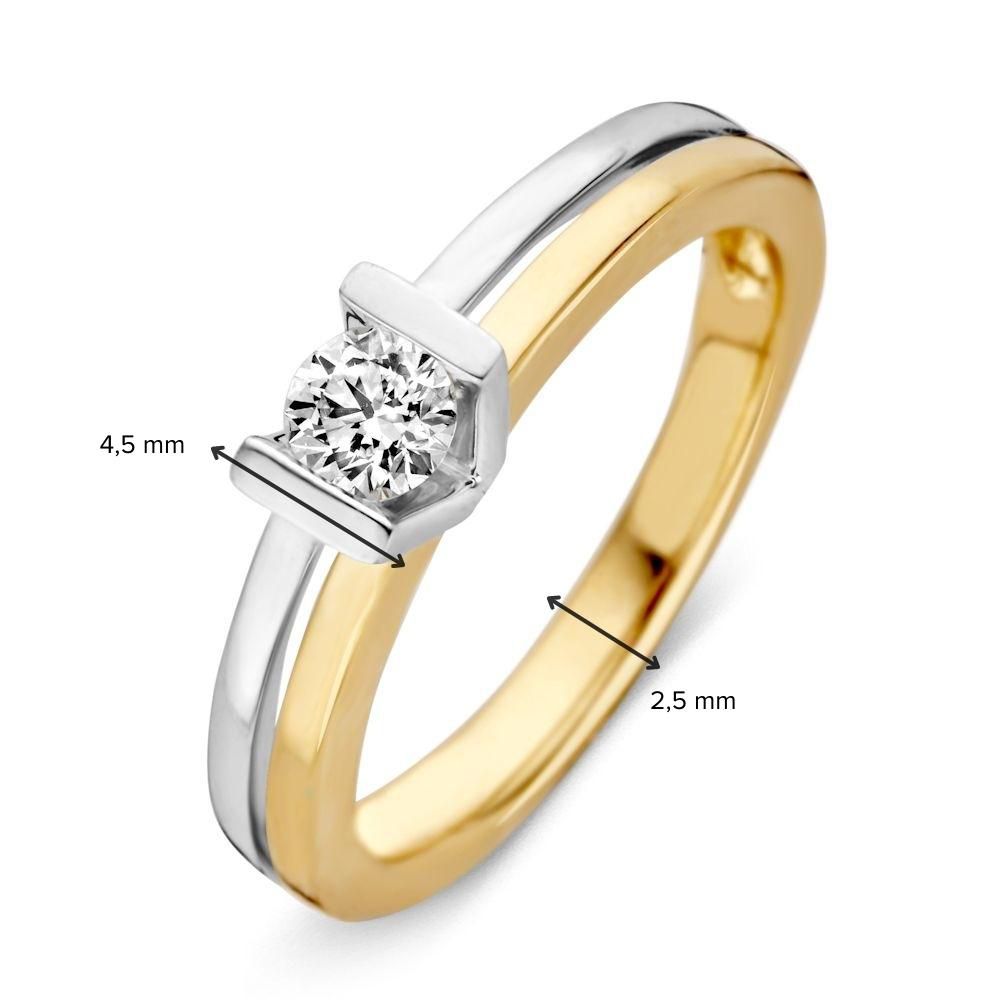 Bicolor Gouden Oorstekers met Diamant – 0.41 ct, 14 Karaat