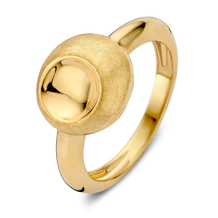 Geelgouden Ring met Gematteerd Rond Element – Tijdloze Elegant