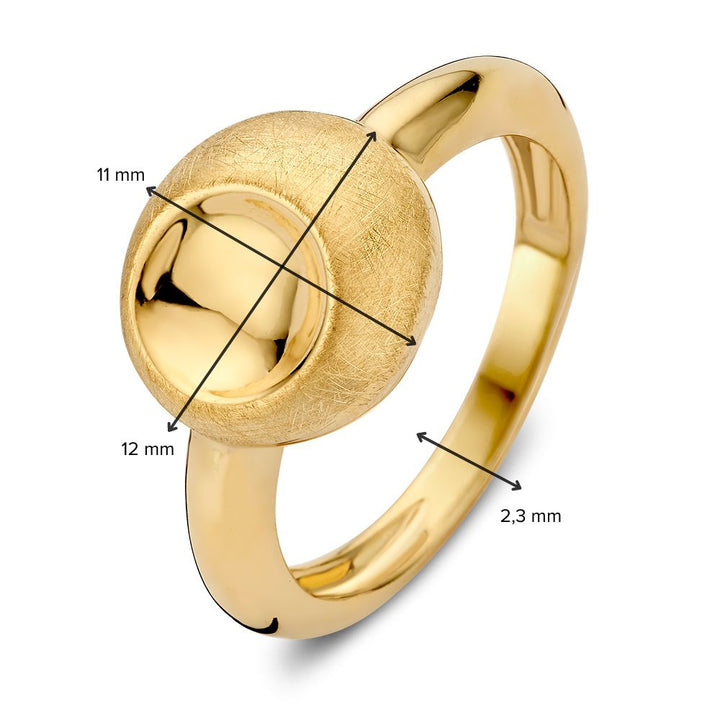 Geelgouden Ring met Gematteerd Rond Element – Tijdloze Elegant