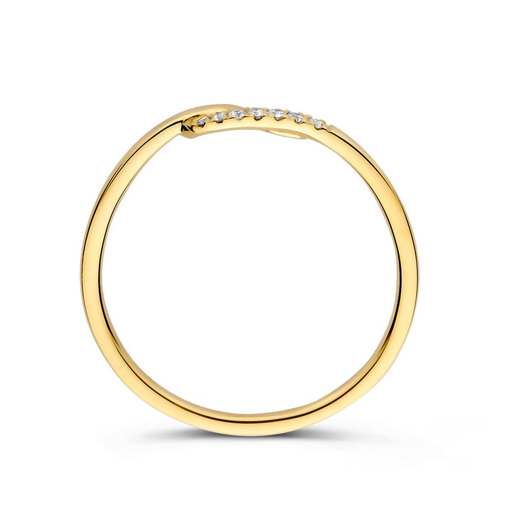 Ring geelgoud briljant 0.06 crt.