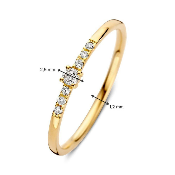 De Excellent Jewelry Ring geelgoud briljant 0,09 crt. is een delicate 14 karaat geelgouden ring met een centrale briljant geslepen diamant, een middensteen van 2,5 mm, kleinere zijdiamanten en een slanke band van 1,2 mm.