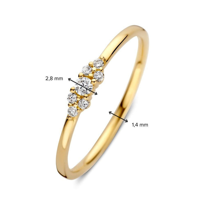 De Excellent Jewelry Ring geelgoud briljant 0.10 crt. is een delicate 14 karaat gouden ring, met een cluster van zeven kleine ronde diamanten in het midden, variërend van 2,8 mm tot 1,4 mm.