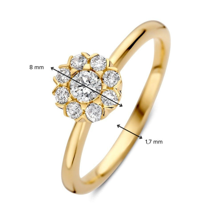 Ring geelgoud briljant 0.41 crt.