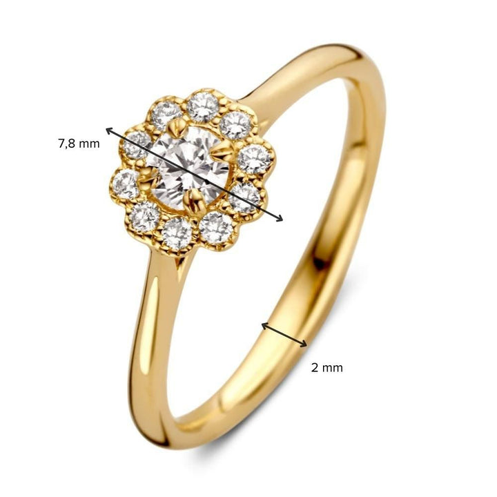 Geelgouden Vintage Entourage Ring met Diamanten – 14 Karaat Goud, 0.43ct Diamanten