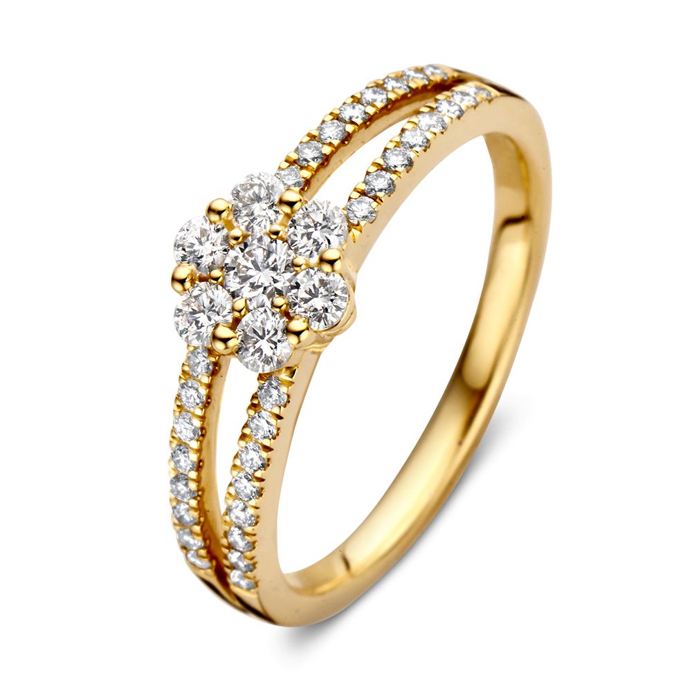Geelgouden entourage ring met briljanten, met een bloemvormig ontwerp en een dubbele band.