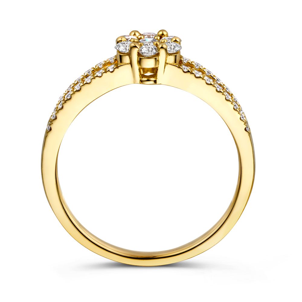 Bijzondere Geelgouden Entourage Ring met Briljanten – 14 Karaat 0.55 crt.