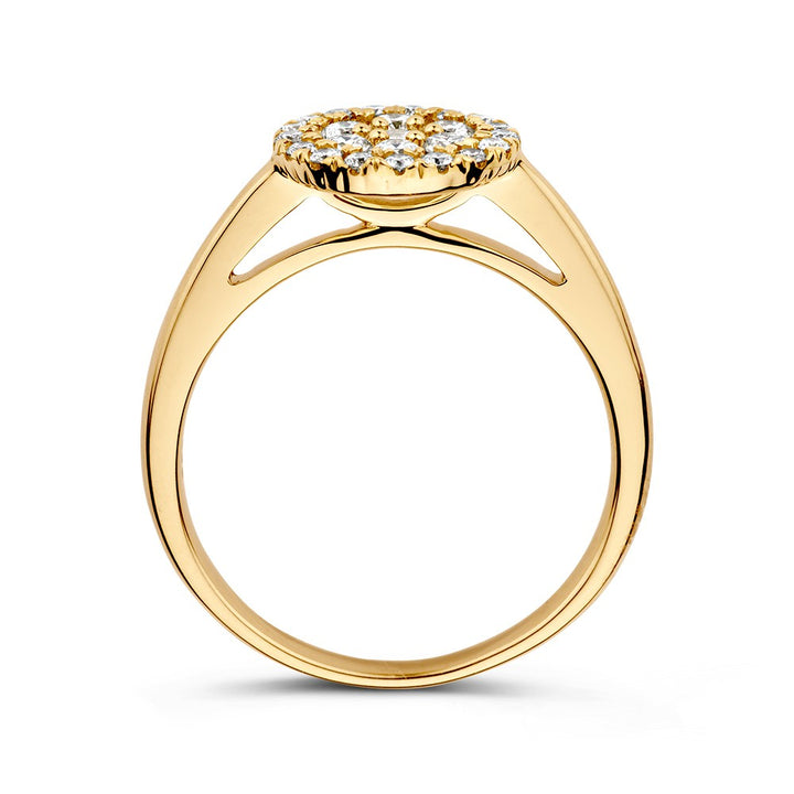 Opvallende Geelgouden Entourage Ring met Diamanten in Dubbele Halo – 14 Karaat 0.60 crt.