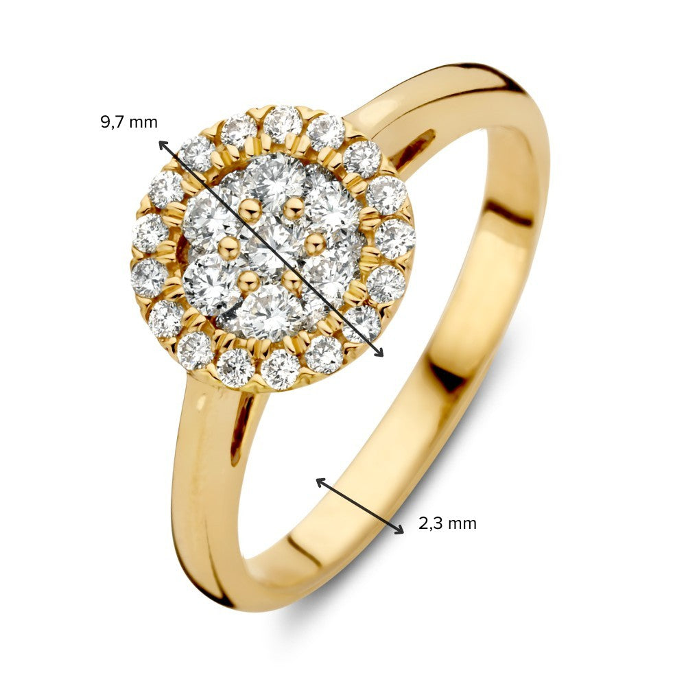 Opvallende Geelgouden Entourage Ring met Diamanten in Dubbele Halo – 14 Karaat 0.60 crt.