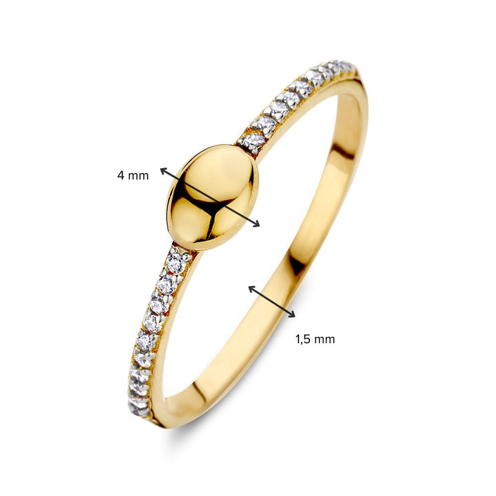 Geelgouden Ring met Ovaal Element en Zirkonia's – Eenvoudige Elegantie