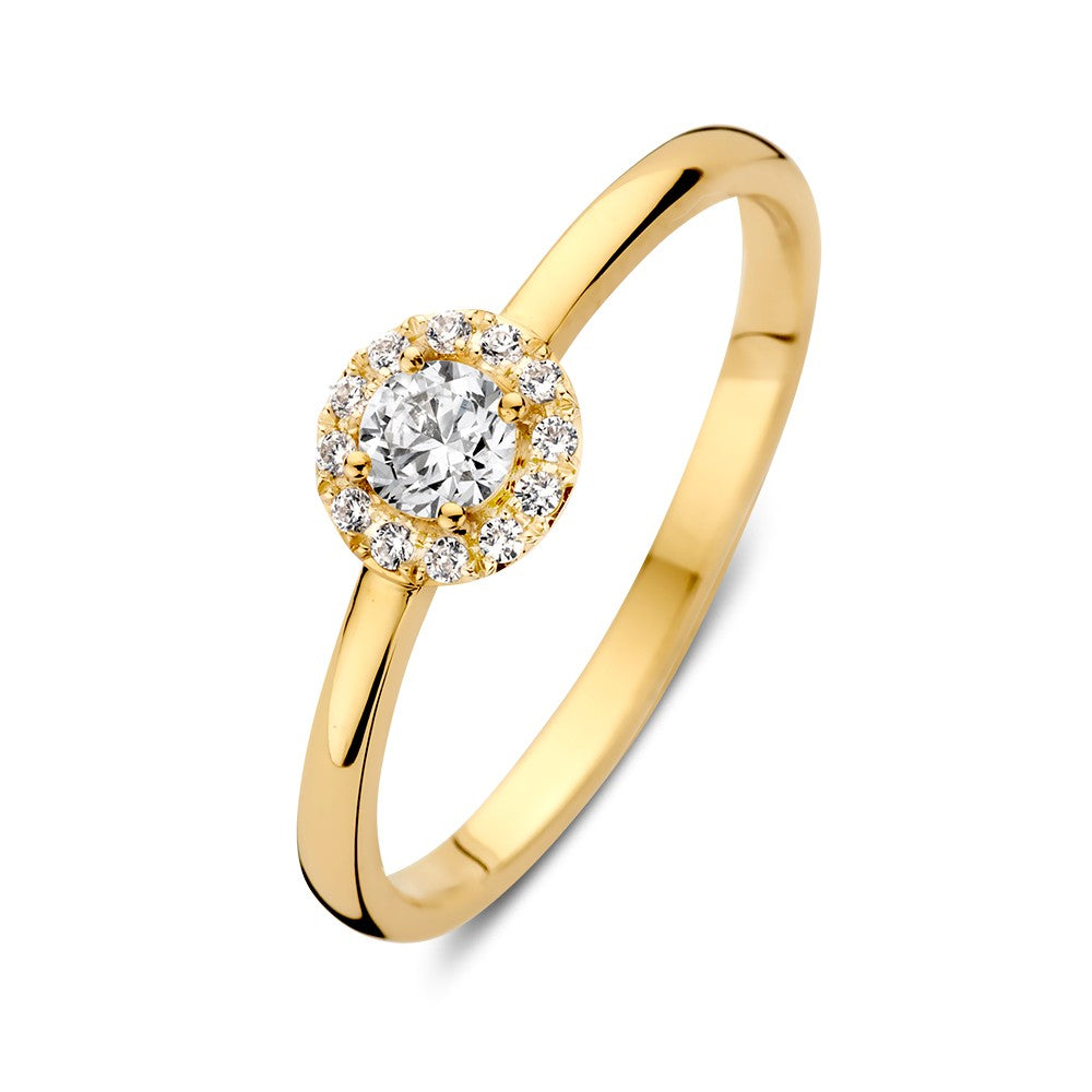 De Elegante Geelgouden Entourage Ring met Zirkonia's van Excellent Jewelry is gemaakt van 14 karaat goud en straalt subtiele luxe uit, met een centrale steen omringd door een halo van kleinere zirkonia's.