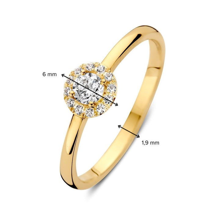 Elegante Geelgouden Entourage Ring met Zirkonia's – 14 Karaat Goud, Subtiele Luxe