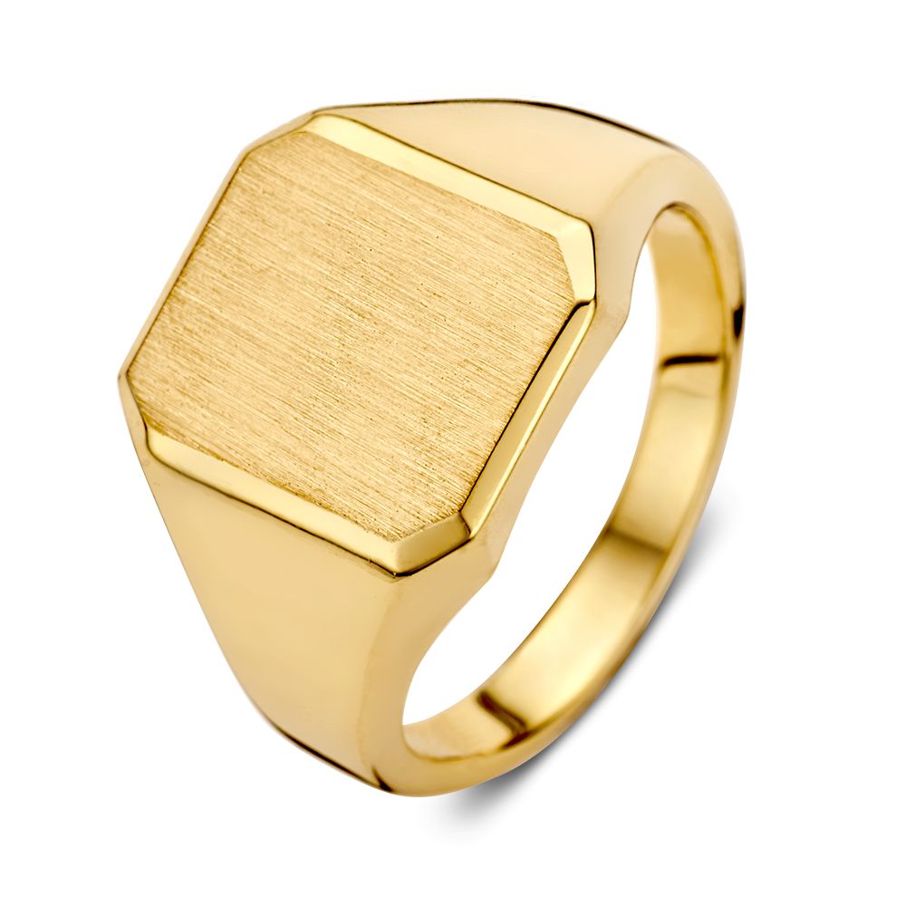 Gele gouden zegelring voor heren met een hexagonale, matte bovenkant en glanzende afwerking.