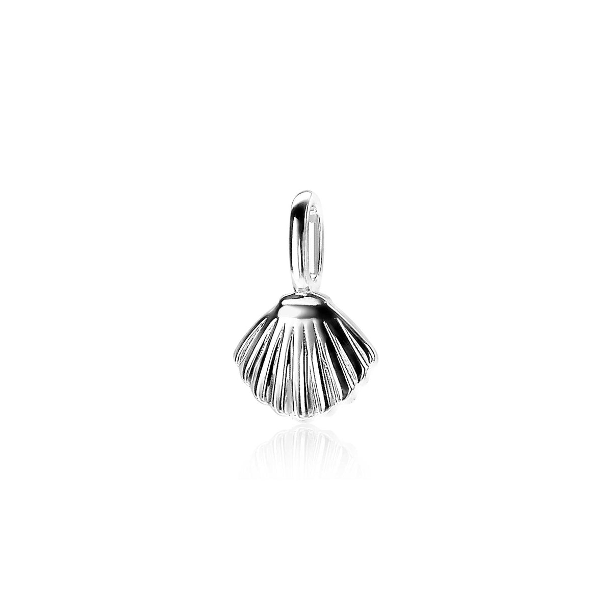Zilveren hanger in de vorm van een schelp met geribbelde details.