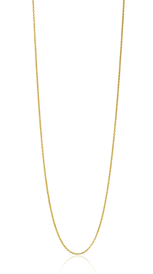 Gouden ketting met een fijne schakelstructuur en een glanzende afwerking.